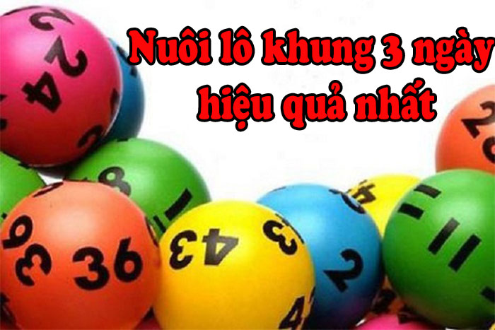 Nuôi lô 3 ngày theo dạng số hiệu quả